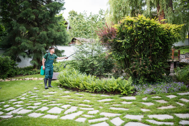 Best Grass Overseeding  in Avalon, NJ